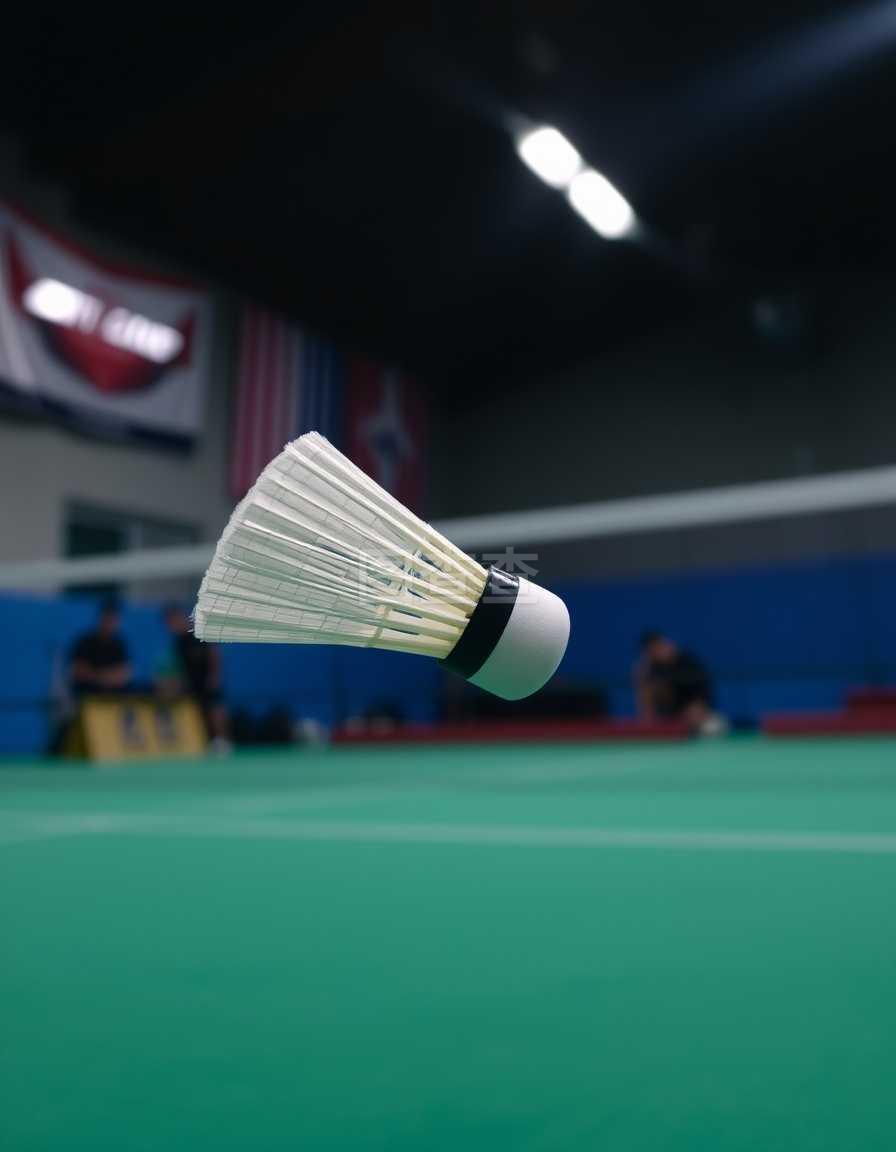 他因此当选 他因此当选