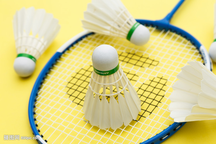 在加盟那不 在加盟那不